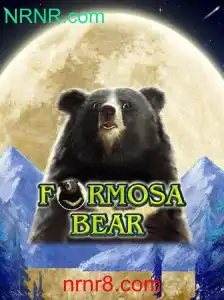 FormosaBear: Descobrindo o Mundo do Jogo com NRNR.com